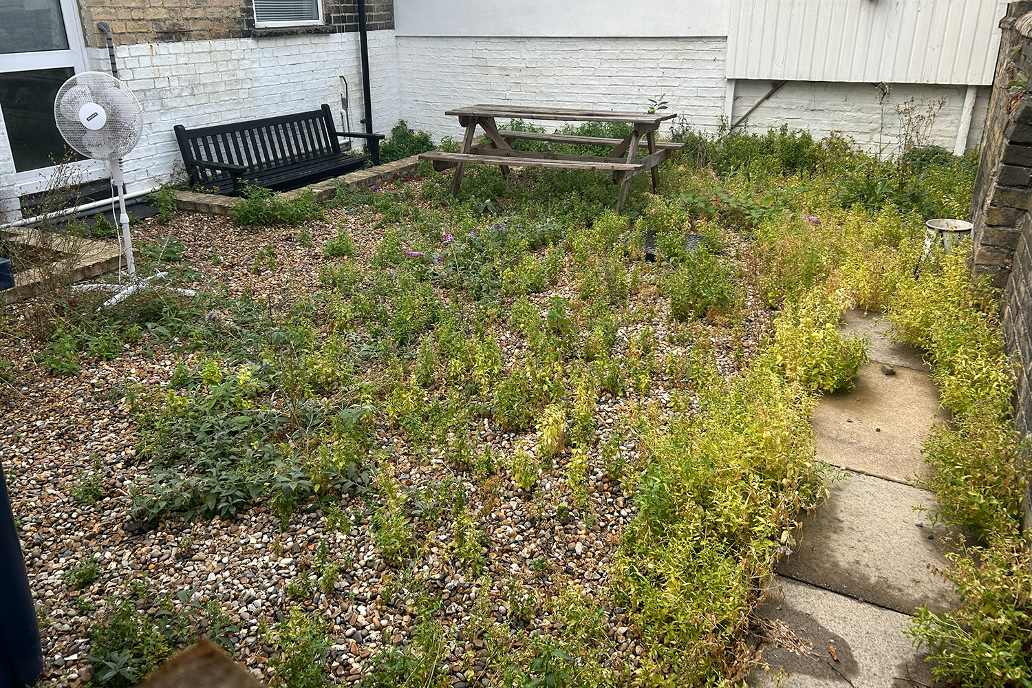 Garden before